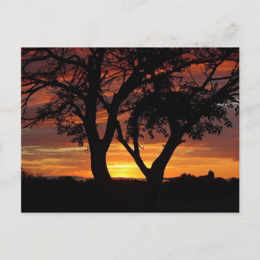 Oranje zonsondergang briefkaart (Voorkant)