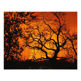 Oranje zonsondergang foto afdruk