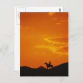 Oranje zonsondergang met Cowboy Silhouette Briefkaart (Voorkant / Achterkant)