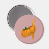 Oranje Zonvis Magneet (Voorkant / Achterkant)