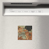 Oranje, zwart en helder kwartz magneet (Insitu (Vaatwasser))