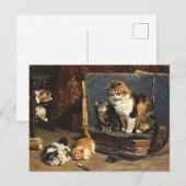  Oranje zwart-wit kat met Kittens Briefkaart (Voorkant / Achterkant)