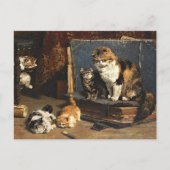  Oranje zwart-wit kat met Kittens Briefkaart (Voorkant)