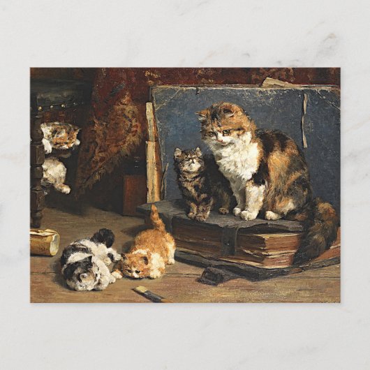  Oranje zwart-wit kat met Kittens Briefkaart (Voorkant)