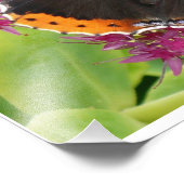 Oranje zwart-witvlinderPoster Foto Afdruk (Hoek)