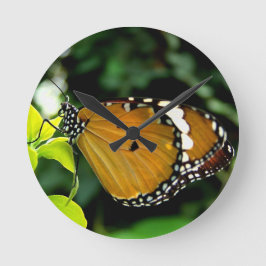 Oranje, zwarte en witte vlinder op blad ronde klok