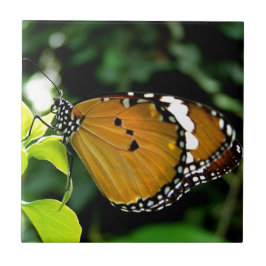 Oranje, zwarte en witte vlinder op blad tegeltje