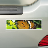 Oranje, zwarte en witte vlinder op leder bumpersticker (Op auto)