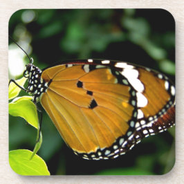 Oranje, zwarte en witte vlinder op leder drankjes onderzetter