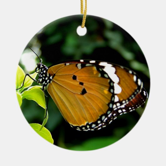 Oranje, zwarte en witte vlinder op leder keramisch ornament (Voorkant)