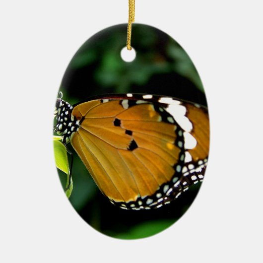 Oranje, zwarte en witte vlinder op leder keramisch ornament (Voorkant)