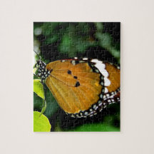 Oranje, zwarte en witte vlinder op leder