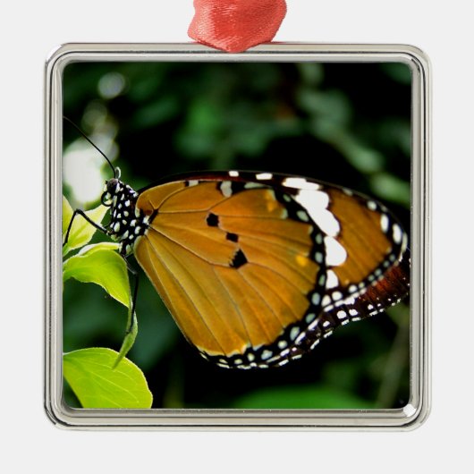 Oranje, zwarte en witte vlinder op leder metalen ornament (Voorkant)