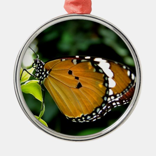 Oranje, zwarte en witte vlinder op leder metalen ornament (Voorkant)