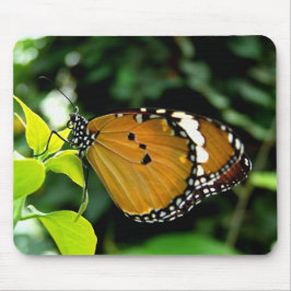 Oranje, zwarte en witte vlinder op leder muismat