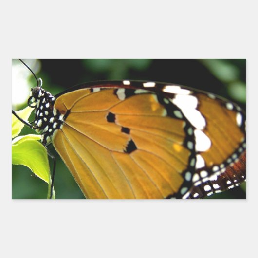Oranje, zwarte en witte vlinder op leder rechthoekige sticker (Voorkant)