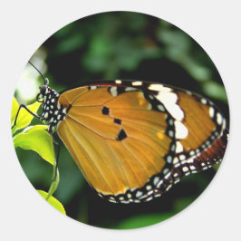 Oranje, zwarte en witte vlinder op leder ronde sticker