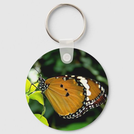 Oranje, zwarte en witte vlinder op leder sleutelhanger (Voorkant)