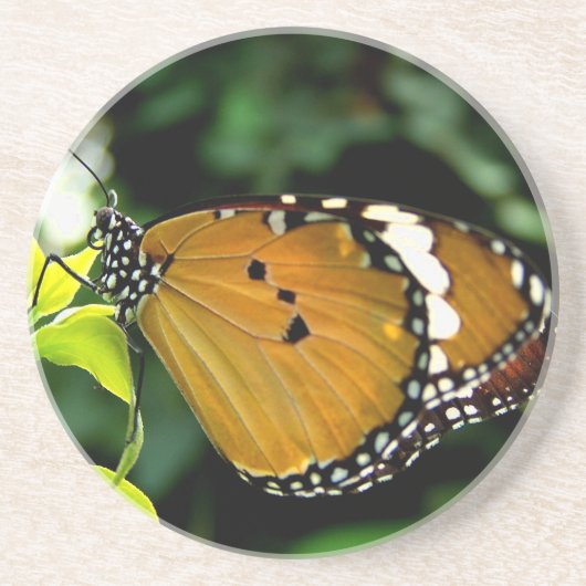 Oranje, zwarte en witte vlinder op leder zandsteen onderzetter (Voorkant)