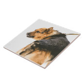 Oranje zwarte hond tegeltje (Zijkant)