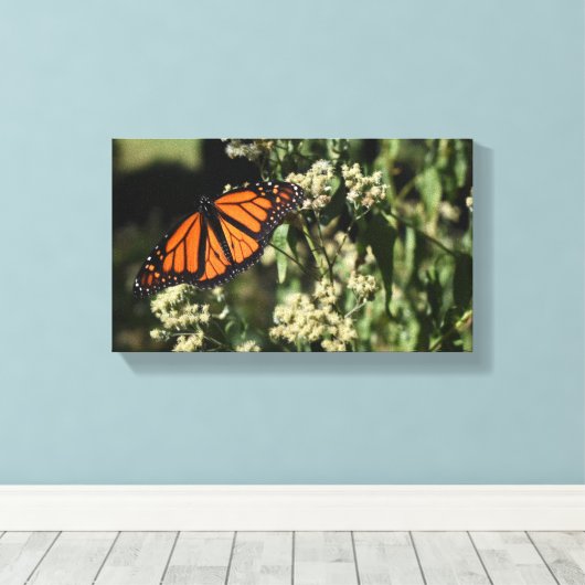 Oranje zwarte Natuur met botervliegen Fotografie Canvas Afdruk (Insitu (Houten vloer))