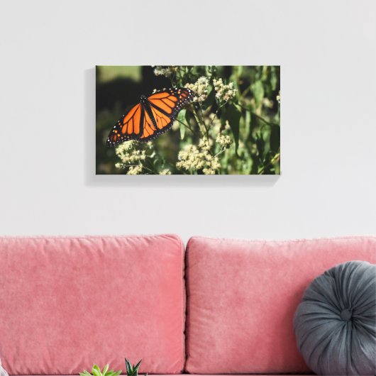 Oranje zwarte Natuur met botervliegen Fotografie Canvas Afdruk (Insitu (Woonkamer))