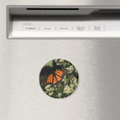 Oranje zwarte Natuur met botervliegen Fotografie Magneet (Insitu (Vaatwasser))