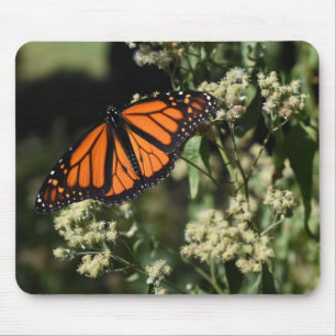 Oranje zwarte Natuur met botervliegen Fotografie Muismat