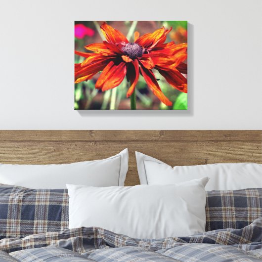 Oranje zwarte Susan Flower close up Canvas Afdruk (Insitu (Slaapkamer))