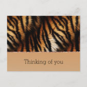Oranje zwarte tijgerafdrukken briefkaart (Voorkant)