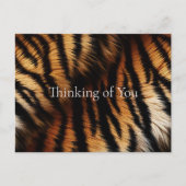 Oranje zwarte tijgerstripes — Dierafdrukken Briefkaart (Voorkant)