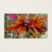 Oranje zwarte verouderde Susan Daisy Flower Visitekaartje (Achterkant)