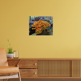 Oranje Zwavelzwam Poster