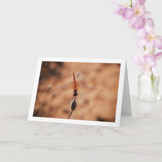 Oranjegevleugelde Dropwing Libel Kaart (Orchidee)