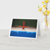 Oranjegevleugelde Dropwing Libel Kaart (Gele Bloem)