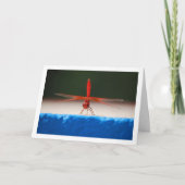 Oranjegevleugelde Dropwing Libel Kaart (Voorkant)