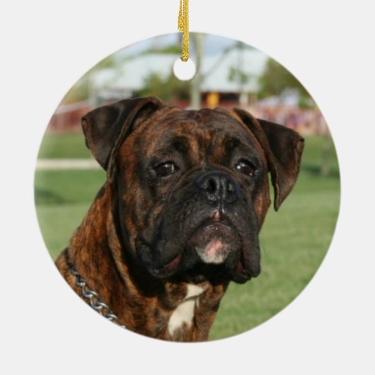 Oranjeregroen bospatrijs keramisch ornament (Achterkant)