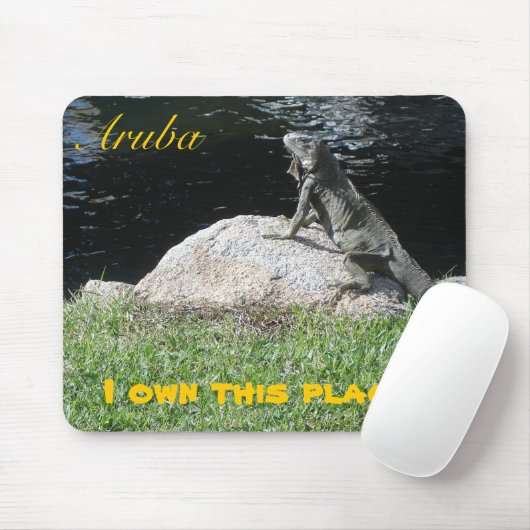 Oranjestad, Aruba Muismat (Met muis)