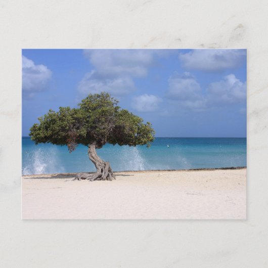 oranjestad briefkaart (Voorkant)