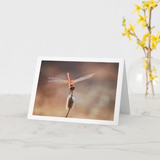 Oranjevleugel Dropwing Libel Kaart (Gele Bloem)