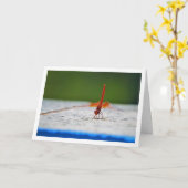 Oranjevleugel Dropwing Libel Kaart (Gele Bloem)