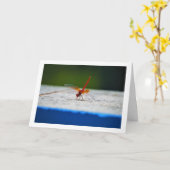 Oranjevleugel Dropwing Libel Kaart (Gele Bloem)