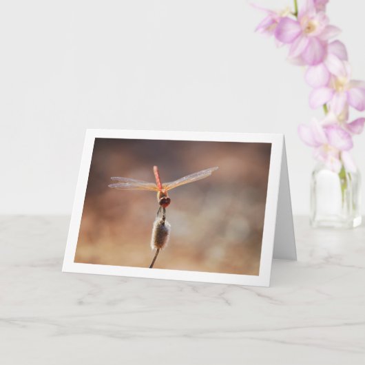 Oranjevleugellijsterglibber Kaart (Orchidee)