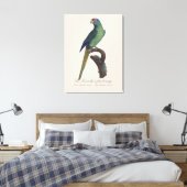 Oranjevoorhoofdkoningsparkiet, Eupsittula Canicula Canvas Afdruk (Insitu (Slaapkamer))