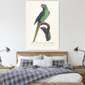 Oranjevoorhoofdkoningsparkiet, Eupsittula Canicula Canvas Afdruk (Insitu (Slaapkamer))