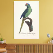 Oranjevoorhoofdkoningsparkiet, Eupsittula Canicula Canvas Afdruk (Insitu (Woonkamer))