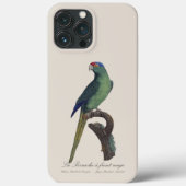 Oranjevoorhoofdkoningsparkiet, Eupsittula Canicula Case-Mate iPhone Case (Achterkant)