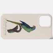 Oranjevoorhoofdkoningsparkiet, Eupsittula Canicula Case-Mate iPhone Case (Achterkant (horizontaal))
