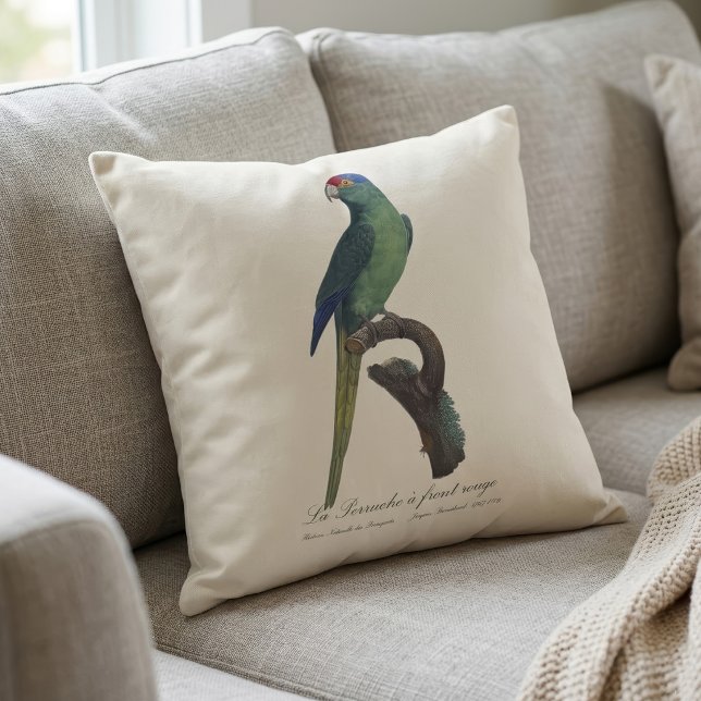 Oranjevoorhoofdkoningsparkiet, Eupsittula Canicula Kussen (Orange-Fronted Parakeet, Eupsittula Canicularis. Throw Pillow)