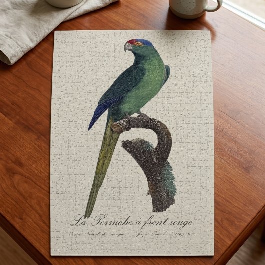 Oranjevoorhoofdkoningsparkiet, Eupsittula Canicula Legpuzzel